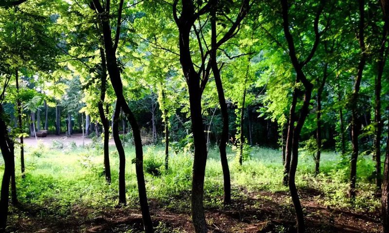 2022062114311232612 2022062114311232612